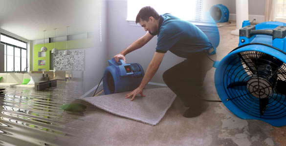 Tile Cleaning